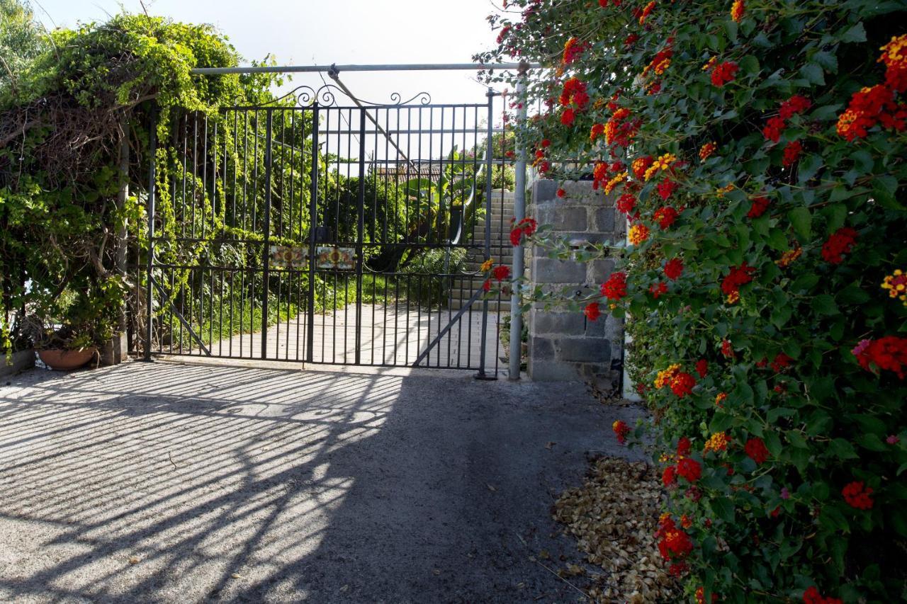 Villa Con Piscina Vista Mare Santo Stefano  Extérieur photo